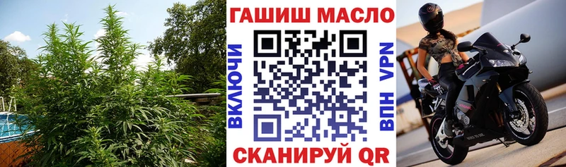 гидра онион  Фёдоровский  ТГК жижа 
