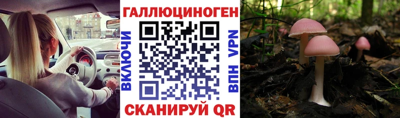 нарко площадка клад  Фёдоровский  Псилоцибиновые грибы MAGIC MUSHROOMS  хочу  